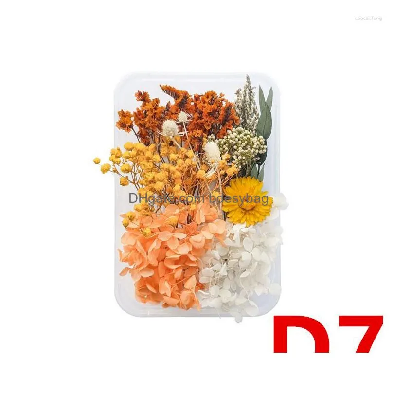 Decorative Flowers Mixed Natural Dried Material Diy Art Floral Decors Collection Gift Craft Home Decoration Pressed Dhvxq