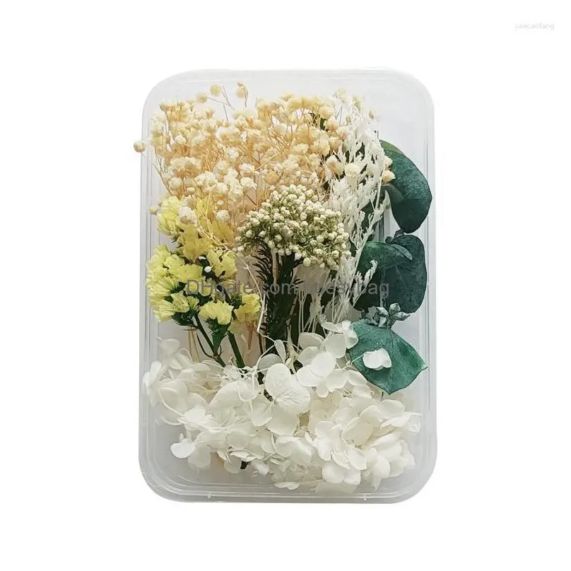 Decorative Flowers Mixed Natural Dried Material Diy Art Floral Decors Collection Gift Craft Home Decoration Pressed Dhvxq