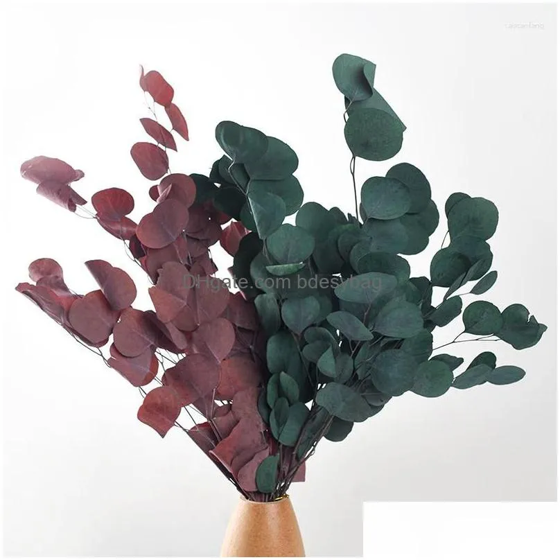 Decorative Flowers 100G Natural Preserved Eucalyptus Leaves Dried  Leaf Bouquet For Wedding Party Decoration Bedroom Home Dhias