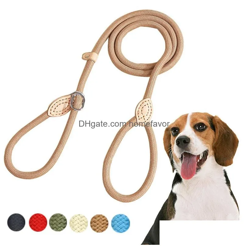 nylon duable p-chain training dog leash strong heavy duty pet walking lead leashes dog rope for medium large and small dogs