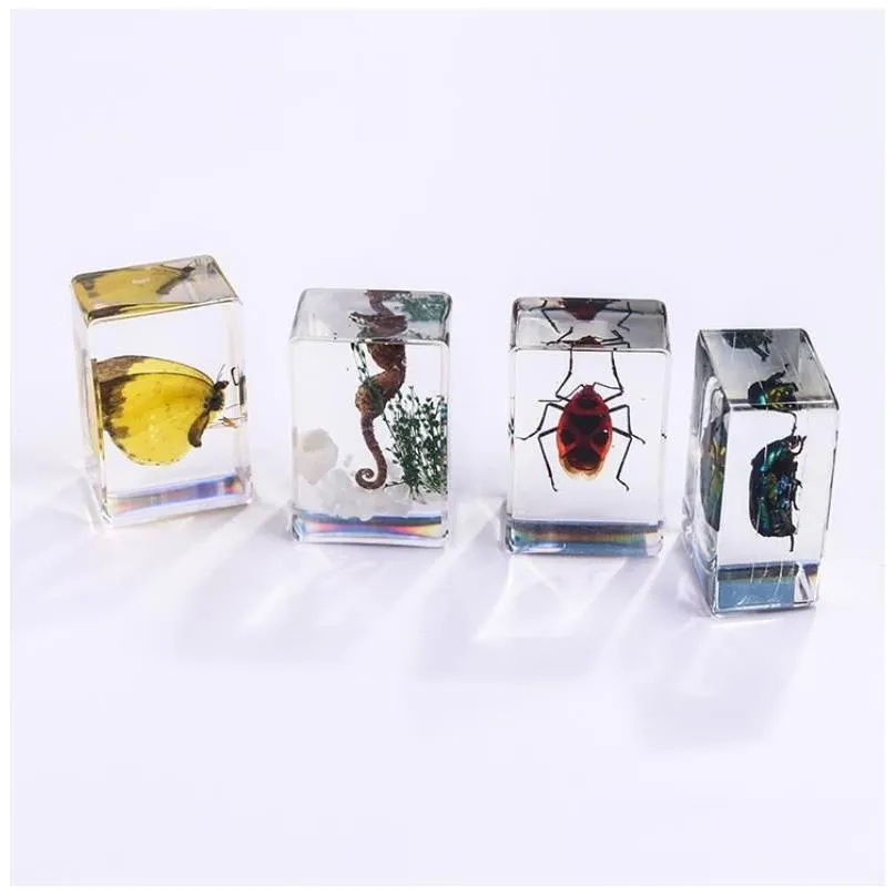 Party Favor Insect Specimen Party Favors For Kids Bugs In Resin Collections Paperweights Arachnid Preserved Scientific Educational Toy Dh9El