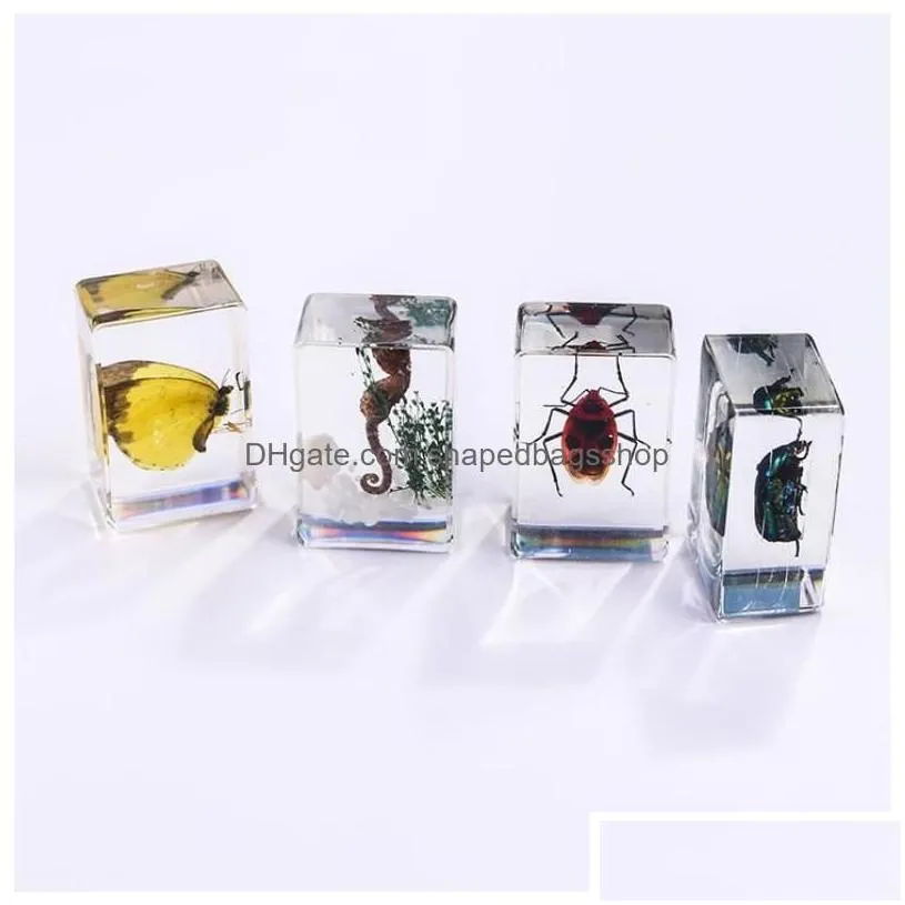 party favor insect specimen favors for kids bugs in resin collections paperweights arachnid preserved scientific educational toy hallo