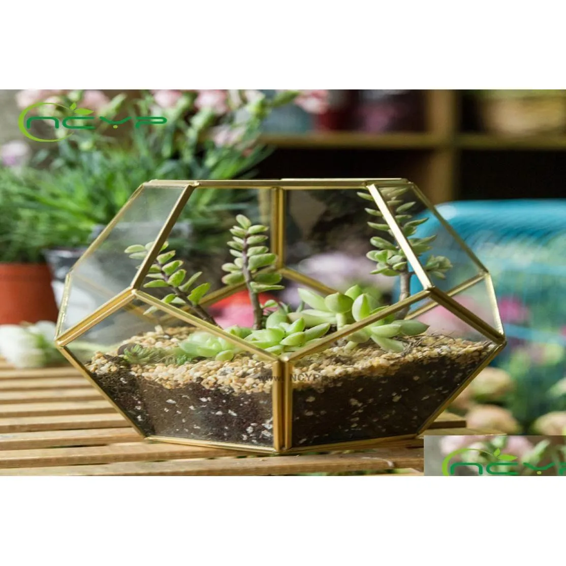 ncyp modern glass terrarium flower pot gold geometric terrarium bonsai flower pots plant planter desktop display flowerpot