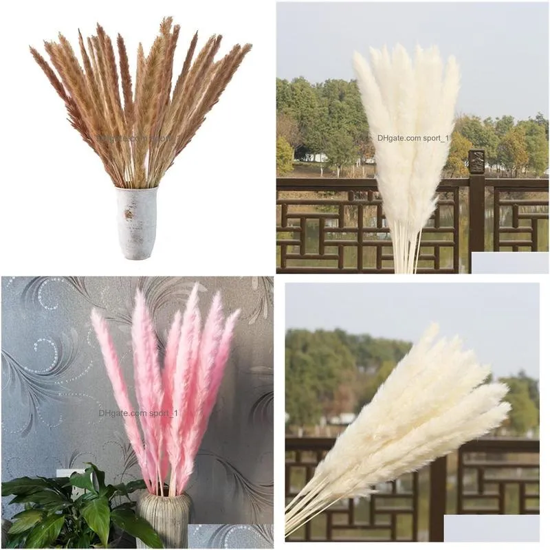 us stock 30pcs natural dried pampas grass reed home wedding flower bunch decor dried flowers outdoor pink decor25734495889