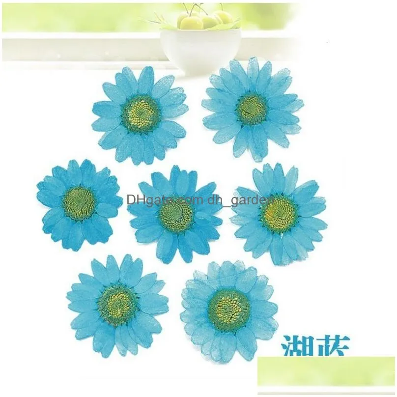 Faux Floral & Greenery Faux Floral Greenery 120Pcs Pressed Press Dried Daisy Dry Flower Plants For Epoxy Resin Pendant Neckl Dhgarden Dhdyj