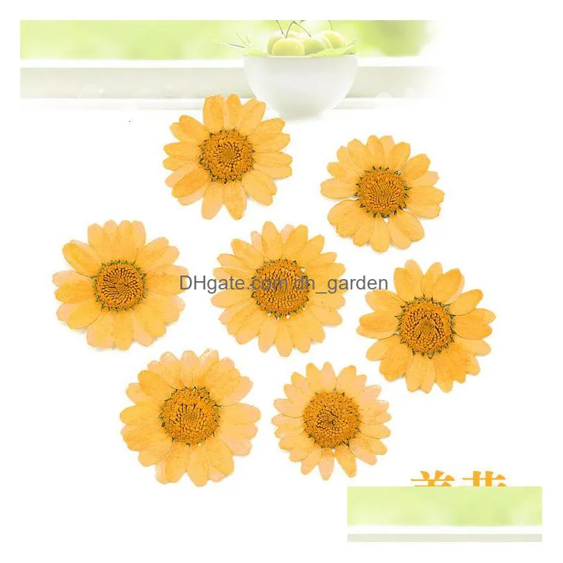 Faux Floral & Greenery Faux Floral Greenery 120Pcs Pressed Press Dried Daisy Dry Flower Plants For Epoxy Resin Pendant Neckl Dhgarden Dhdyj