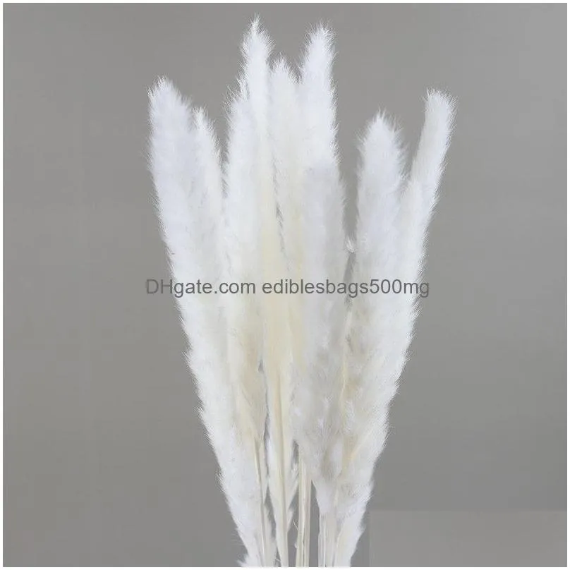 natural dried flower pampas reed home decoration gray large wedding layout corner shop display window decoration