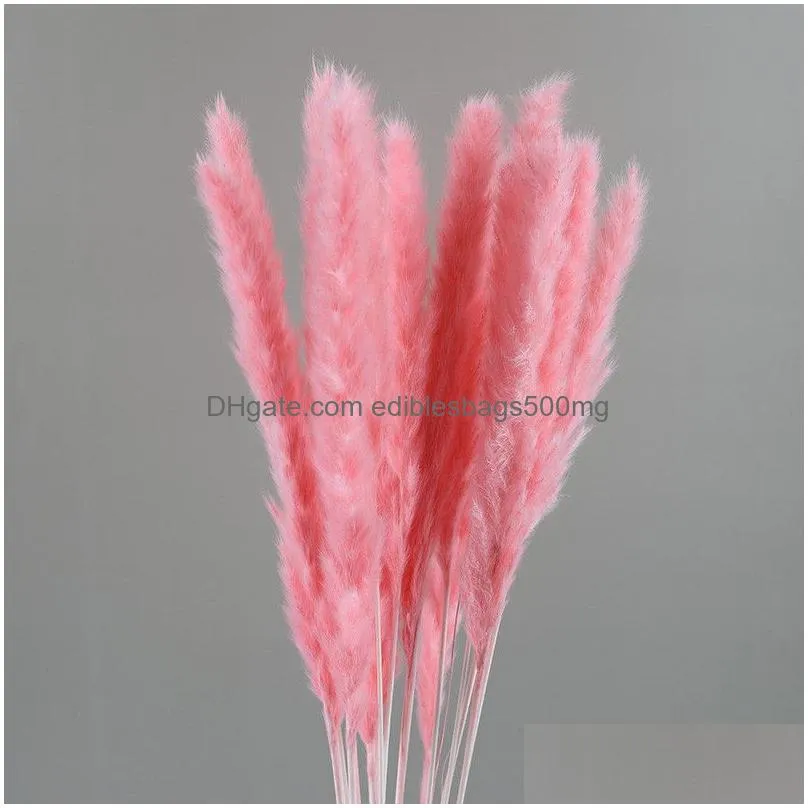 natural dried flower pampas reed home decoration gray large wedding layout corner shop display window decoration