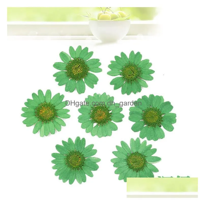Faux Floral & Greenery Faux Floral Greenery 120Pcs Pressed Press Dried Daisy Dry Flower Plants For Epoxy Resin Pendant Neckl Dhgarden Dhdyj