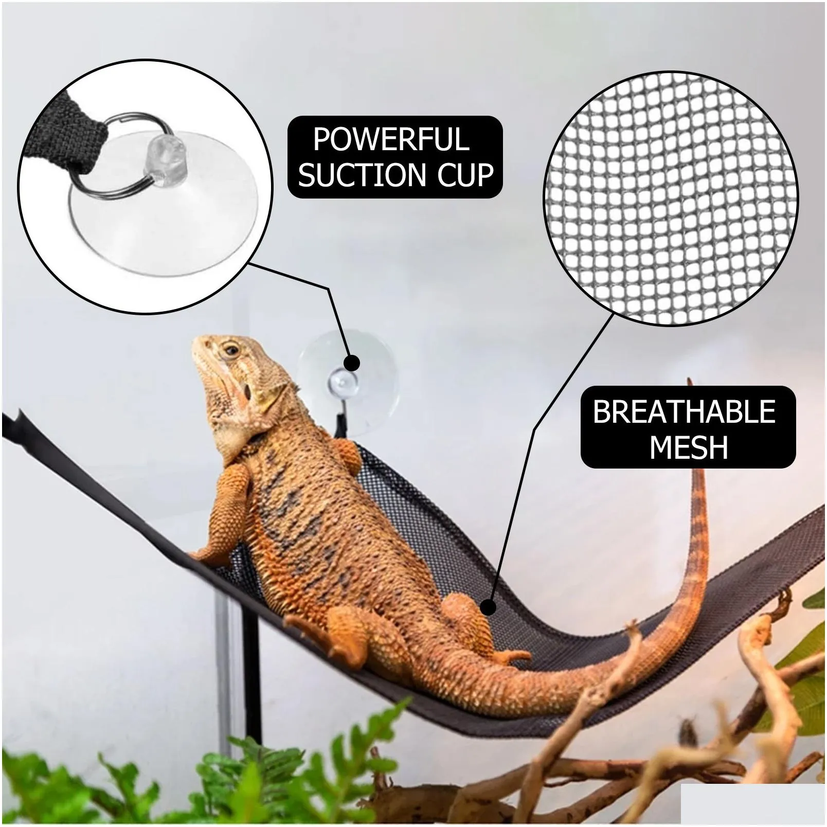 Reptile Supplies Freight Yegbong Oem  Reptile Supplies Hammock Recliner With Suction Cup For Lizard Gecko To Climb Triangle Net Hom Dhlnz