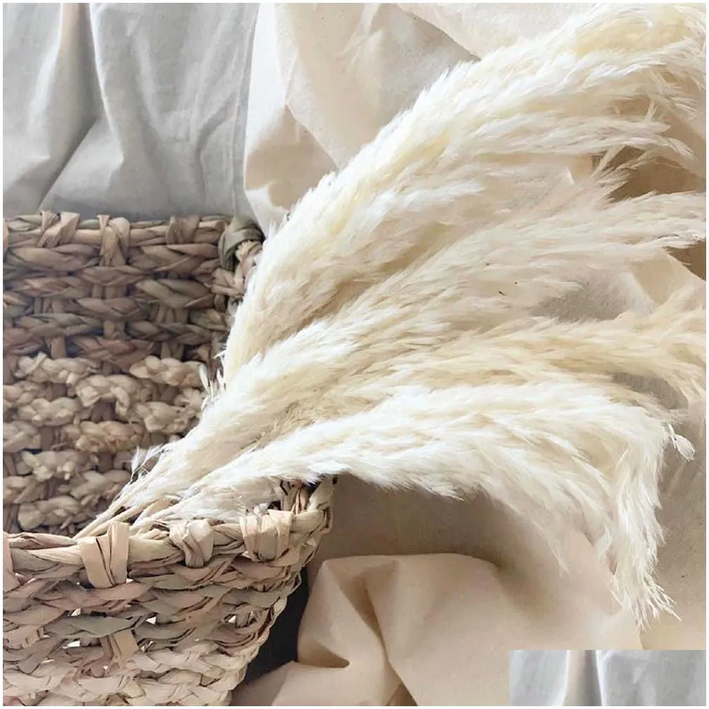 10/20 pcs cream grass fluffy dried pampas ation natural flowers bouquet boho decor valentines day gif 1208