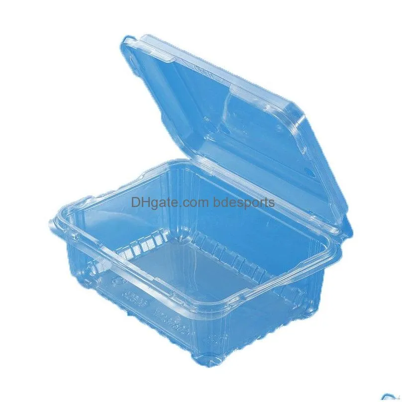 Square Disposable Fruit Vegetable Box Food Package Takeaway Plastic Fast Food Fruit Salad With Lid yq2098