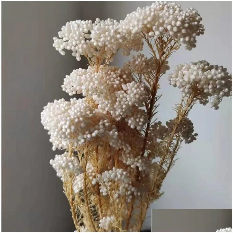 Decorative Flowers & Wreaths Decorative Flowers Wreaths 50G Natural Millet Fruit Dried Flower Artificial Garden Decoration Outdoor Pam Dhpkn