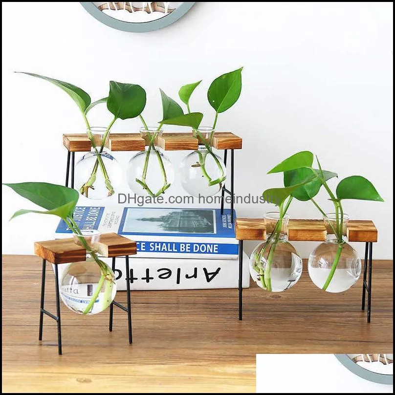 glass bottle vase hydroponic plant transparent wooden frame coffee shop room decor table desk decoration terrarium
