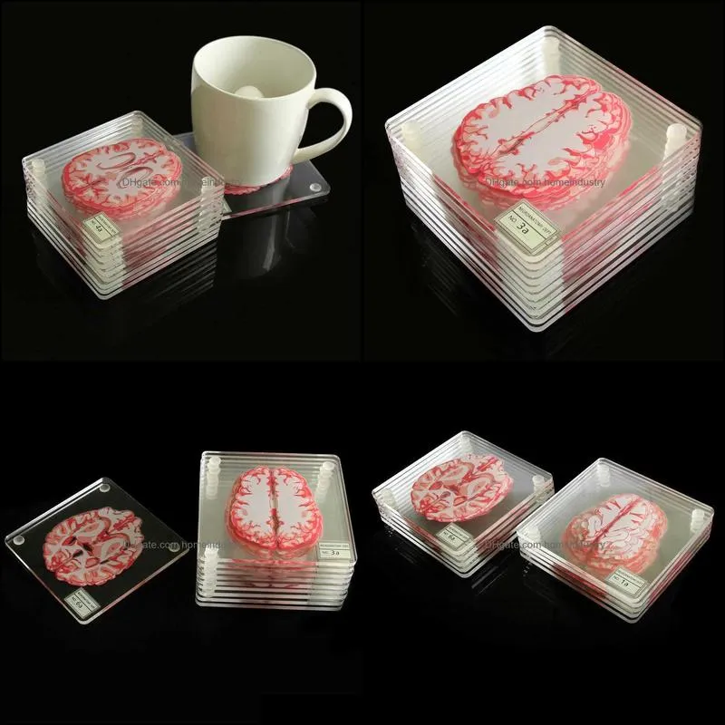 specimen coasters set 3d organ artwork brain slices square acrylic glass drinks table coaster drunk scientists gift