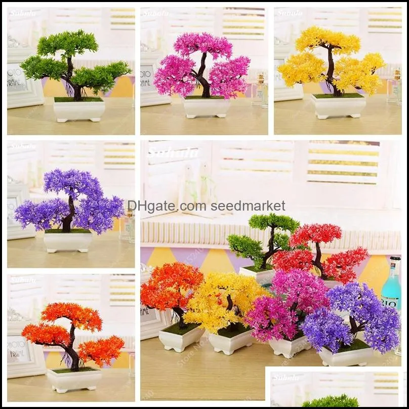 20pcs heirloom welcoming pine tree indoor perennial bonsai pine plants for miniature garden flower pot planters easy grow