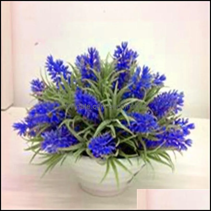 200pcs/set seeds bonsai provence lavender purple vanilla flowers fragrant lavandula organic plants natural growth variety of colors aerobic potted planting