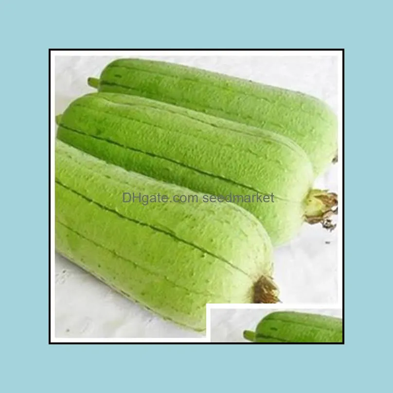 100pcs loofah towel gourd flower seeds bonsai rare plants for the garden purify the air absorb harmful gases beautifying and air purification the budding rate