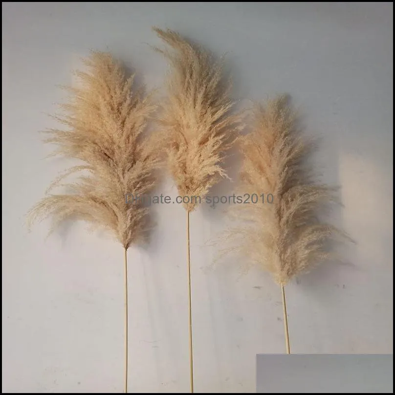 The New 20Pcs/lot Wholesale Phragmites Natural Dried Decorative Pampas Grass For Home Wedding Decoration Flower Bunch 56-60cm 209 V2