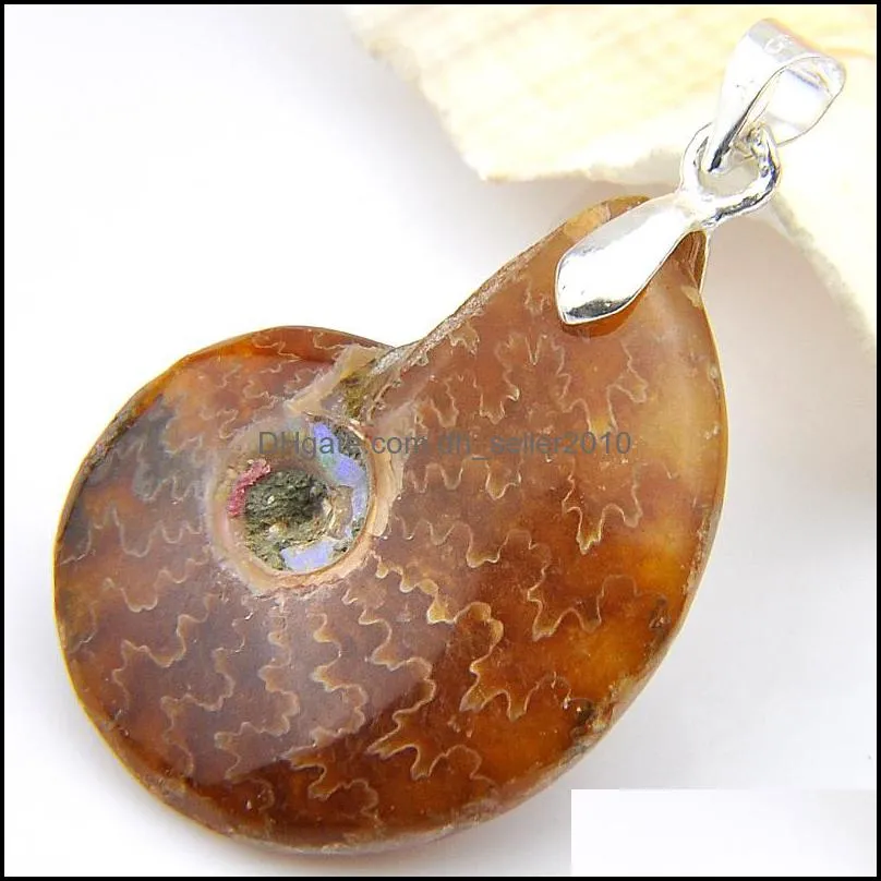 Wholesale 10 Pieces 1LOT Special Natural Ammonite Fossil Gem 925 Sterling Silver USA Israel Wedding Engagement Pendants Party Jewelry