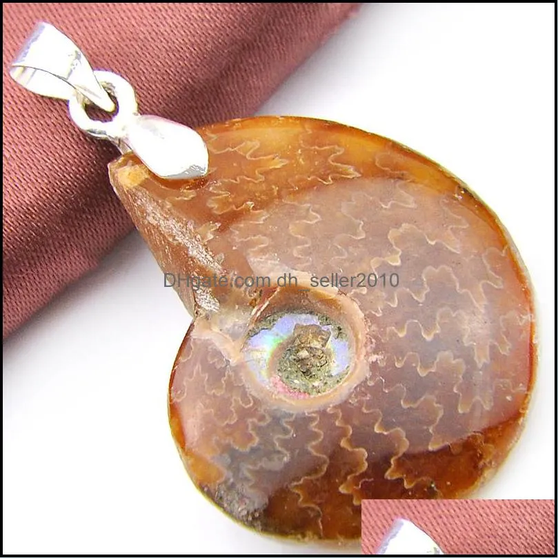Wholesale 10 Pieces 1LOT Special Natural Ammonite Fossil Gem 925 Sterling Silver USA Israel Wedding Engagement Pendants Party Jewelry