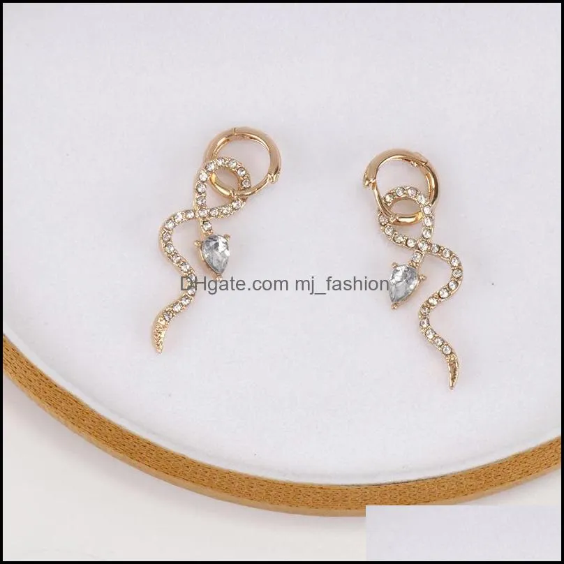 korean version of personality net red temperament hoop earrings trendy snake jewelry female women earring