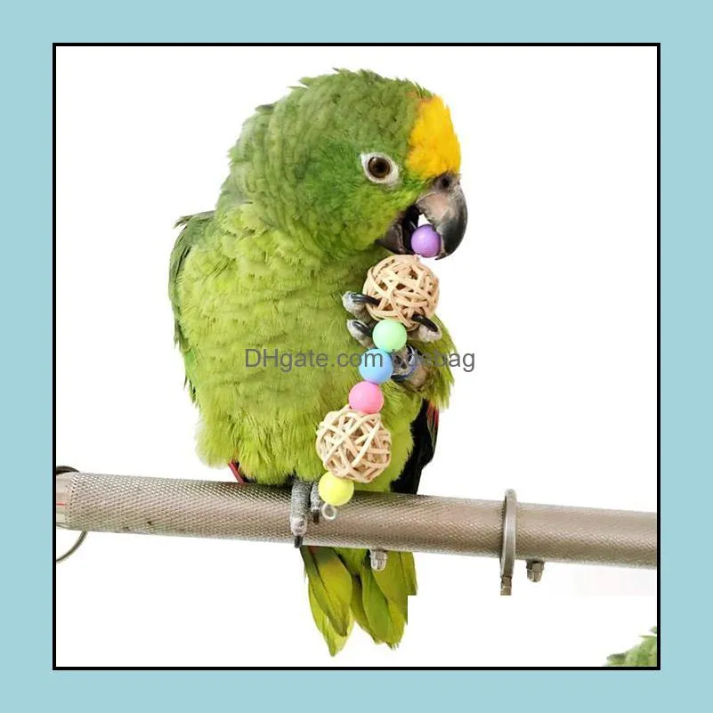 Parrot Pet Bird Chew Cage Hanging Toy Rope Cave Ladder Chew Toy Colors High Quality Rat Mouse Beaded Twisted toy