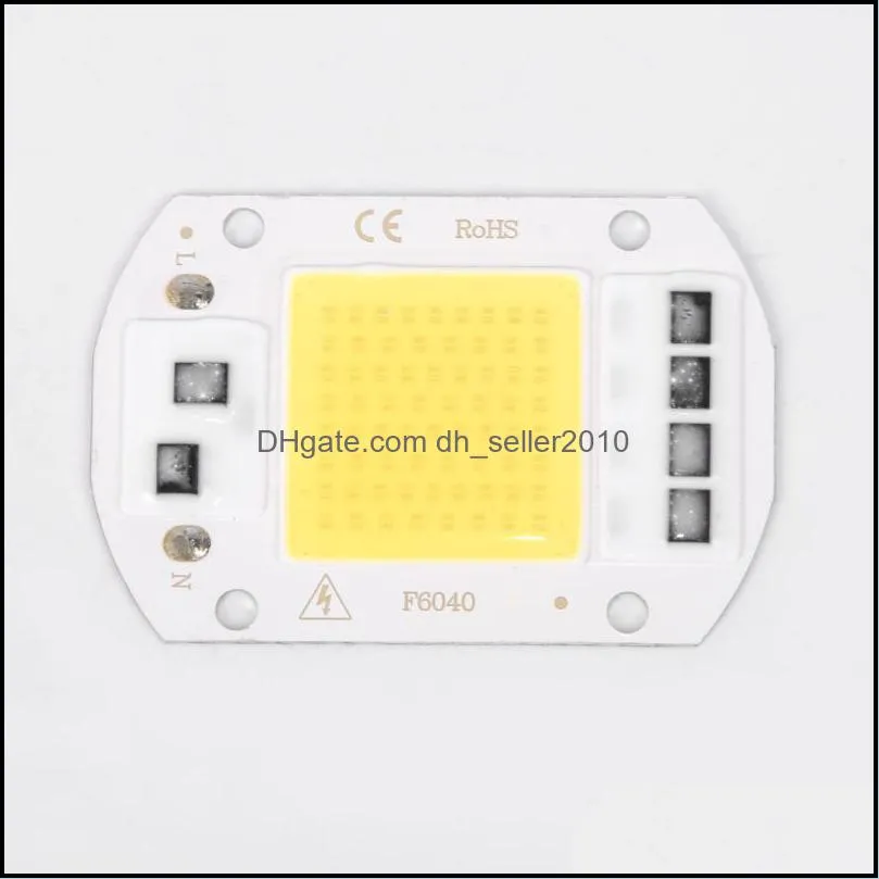 220v LEDs Floodlights COB Chip 20W 30W 50W Input Integrated Smart IC Drive Cool