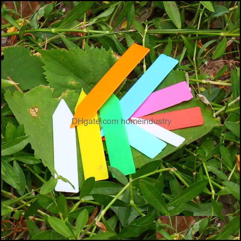 one word garden decorations label mini plant tags marker colourful plastic tag colorfast durable classification pot culture 0 04fy d2