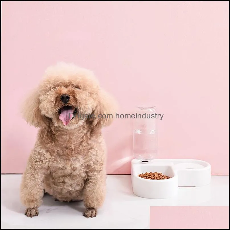 double feeder automatic water drinking pet dog cat fountain and stainless steel food bowls design for dogs cats 20220112 q2