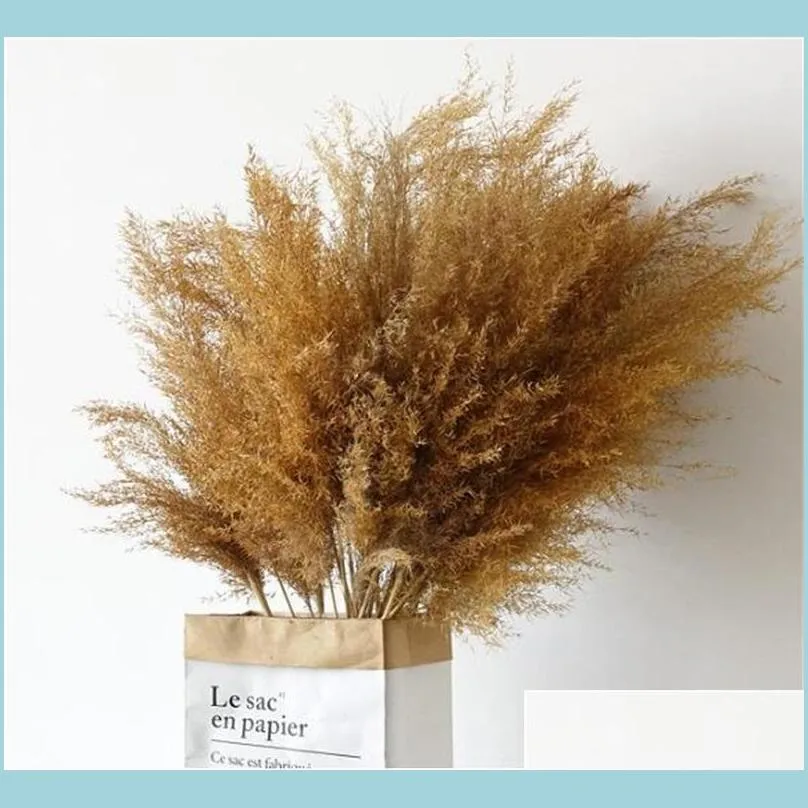  pampas grass thinker plume flower bunch small pampas grass wedding decor home real pampas grass reed natural plant ornaments 544