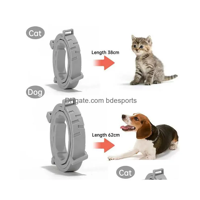 leashes pet flea and tick collar for dogs cats up to 8 month prevention collar antimosquito insect repellent puppy supplies sxjul5 inventory