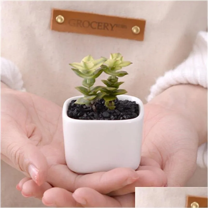 simple design white pots creative flowerpot mini succulent plants ceramics pot home decoration table balcony sold well 1 1zlh1