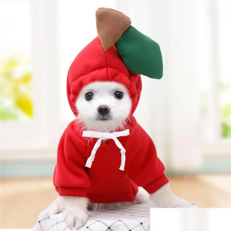 pet coats with cap fruit white radish shape sweaters lace up autumn winter warm cat puppy clothes cute fashion 9 9gg g2