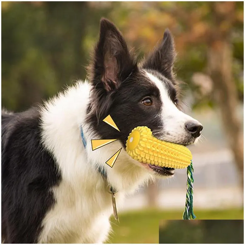 dog corn molar stick pet training bite toothbrush with cotton rope puppy dog molar stick chew toys 170 n2