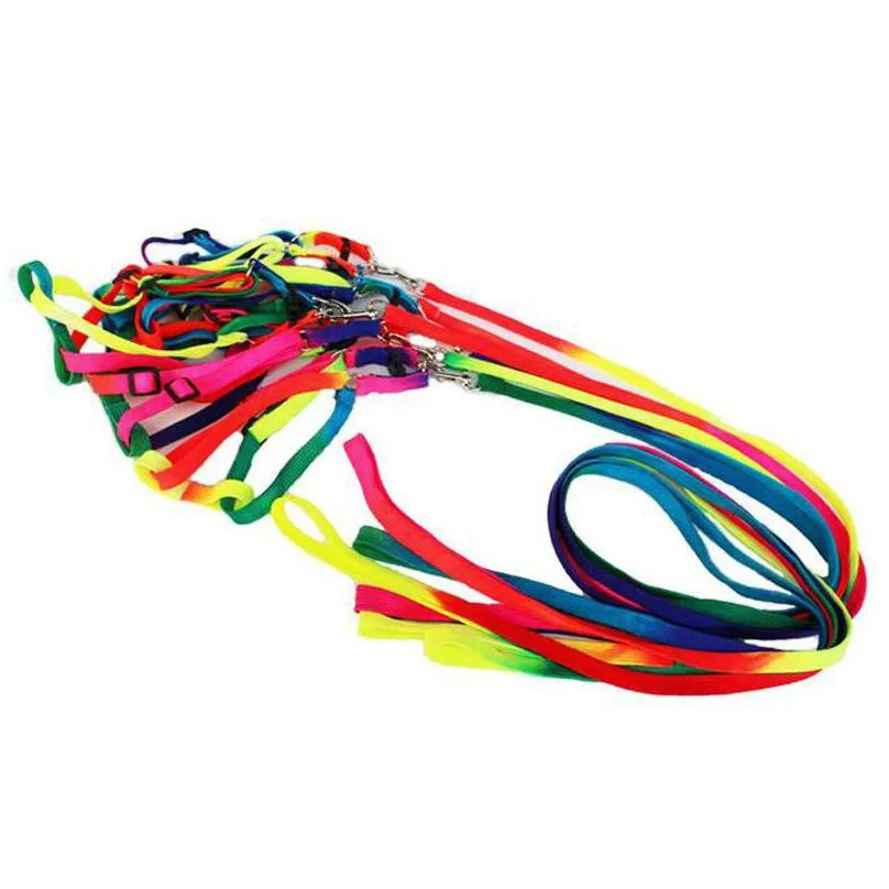 rainbow color tractional rope dogs collars leash pet supplies harnesses dog necklace traction nylon ropes walk 2 5my d2