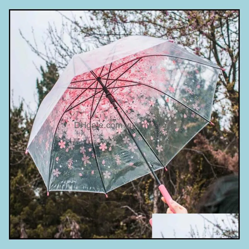 apollo cherry blossom umbrellas clear cute bubble deep dome umbrella gossip wind resistance umbrella household sundries umbrella