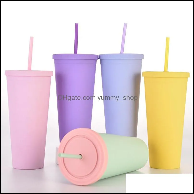 with straw mugs 22oz colored tumbler double layers as material straight bottle water mug coffee cup plain plastic frosted sport bottles