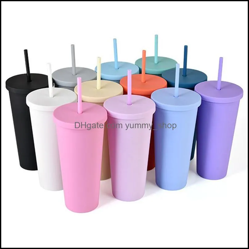 22oz tumblers mugs matte colored acrylic with lids and straws double wall plastic resuable cup wll838