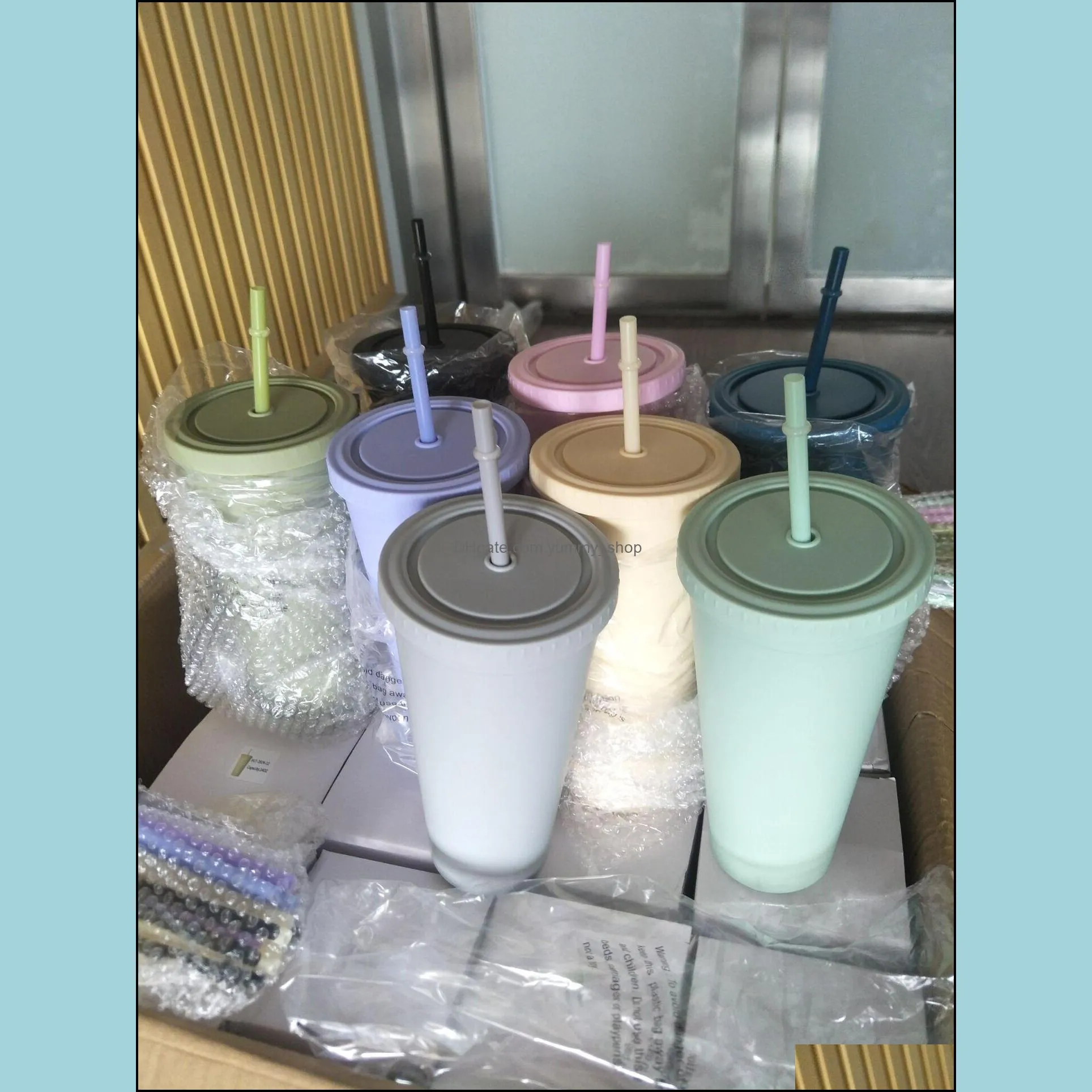 22oz tumblers pastel colored double wall matte plastic bulk acrylic cups with lids and straws wll838