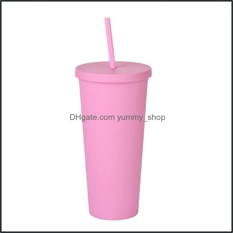 22oz tumblers mugs matte colored acrylic with lids and straws double wall plastic resuable cup wll838