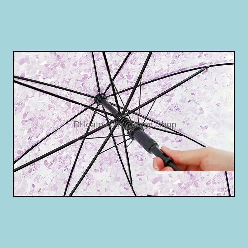 apollo cherry blossom umbrellas clear cute bubble deep dome umbrella gossip wind resistance umbrella household sundries umbrella