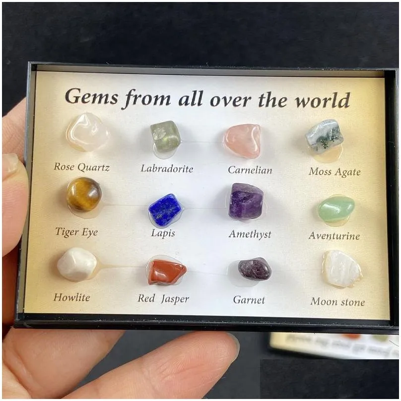 12 kinds of natural crystal mini collection arts gem mineral rock standard gift box teaching specimens novelty party gifts