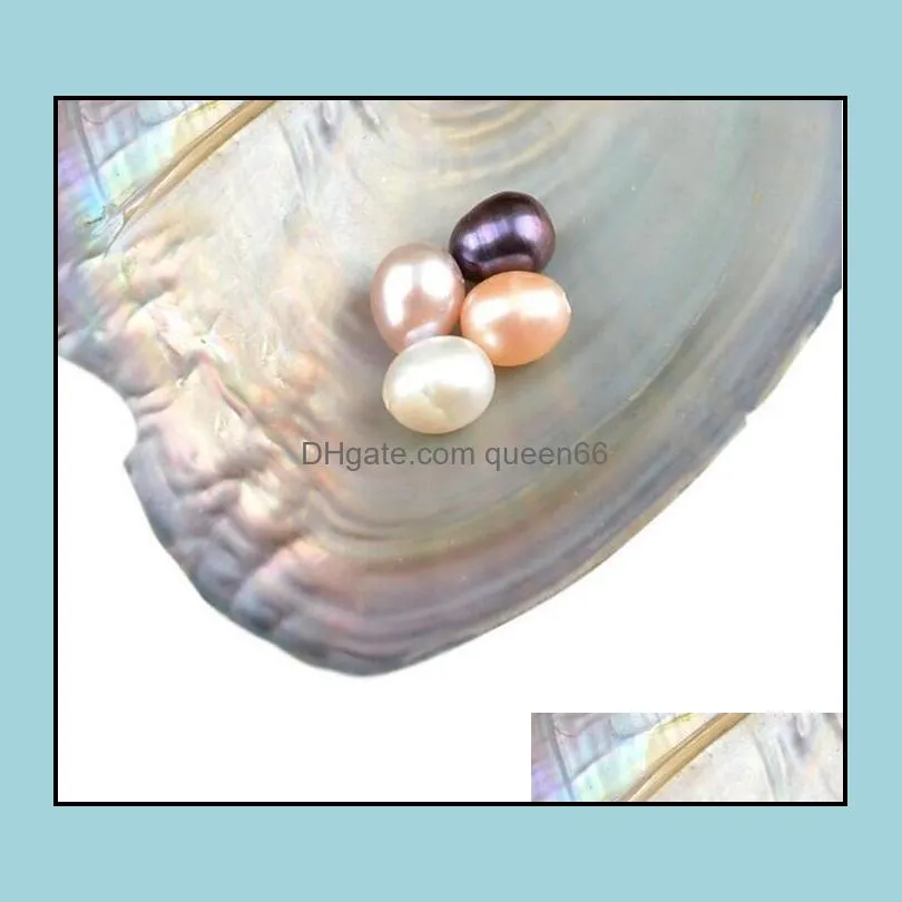 new oysters with dyed natural pearls inside pearl party oysters in bulk open at home pearl oysters with vacuum packaging epacket