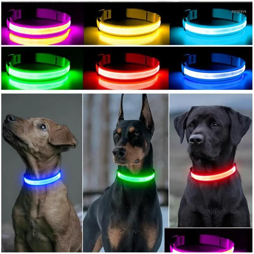 dog collars led luminous collar adjustable glowing usb rechargea flashing antilost/avoid car accident dogs pet products