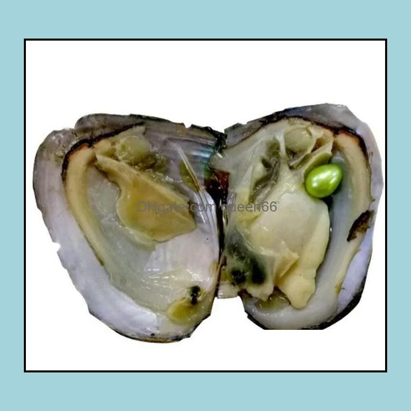 new oysters with dyed natural pearls inside pearl party oysters in bulk open at home pearl oysters with vacuum packaging epacket