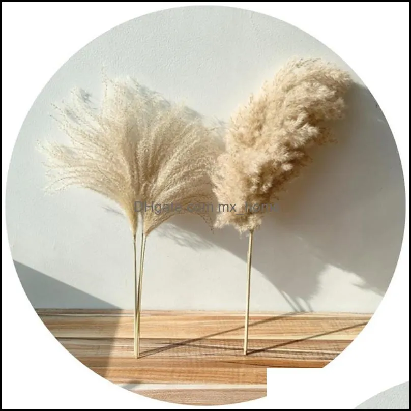 8pcs/10pcs/20 pcs real dried small pampas grass wedding flower bunch natural plants decor home decor dried flowers 