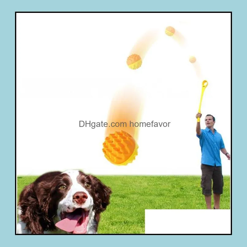 pet training tool ball thrower is suitable for mediumsized cats and dogs outdoor fun trainings pets interactive toys