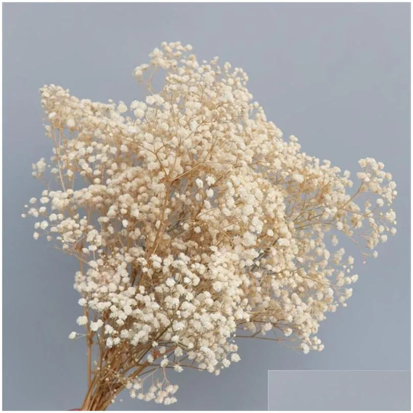 decorative flowers wreaths natural  dried preserved gypsophila paniculata babys breath flower bouquets gift for wedding
