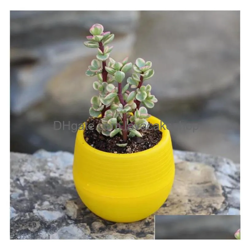 colourful round plastic plant flower pot planter garden bed home office decor planter desktop pots